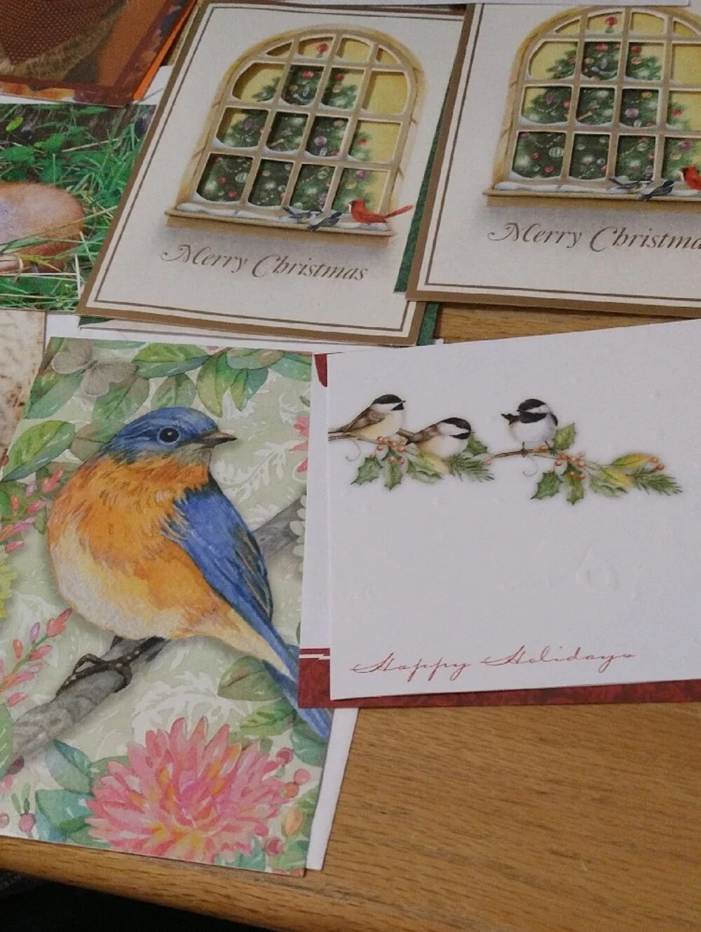 Animal Greeting Cards Assortment - Cats Dogs Birds Other